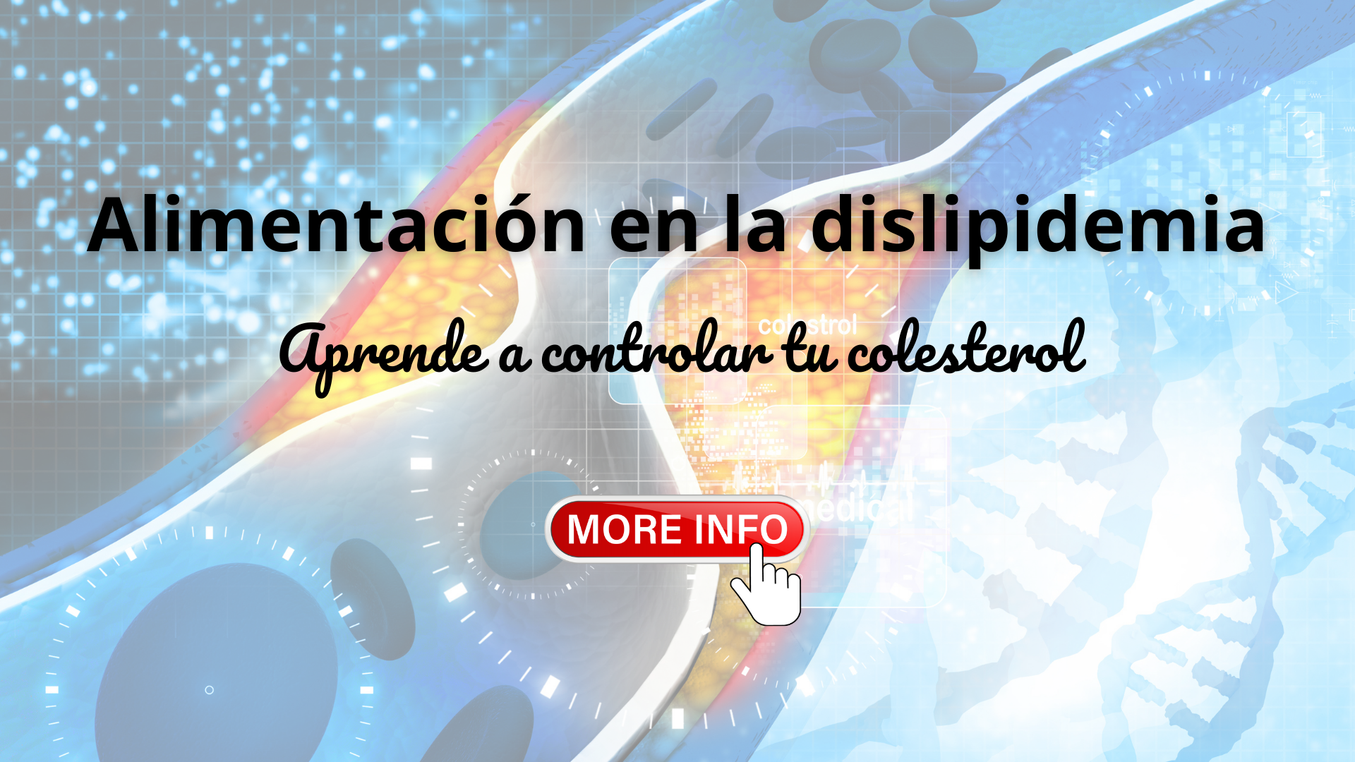 Alimentación en la Dislipidemia