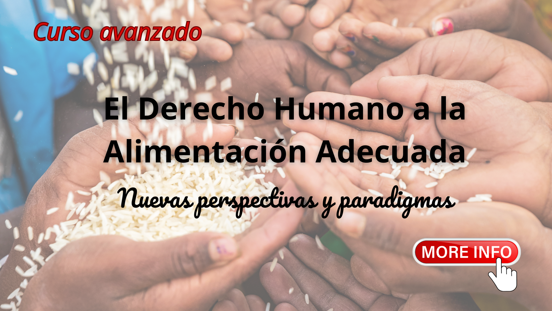 El Derecho Humano a la Alimentación Adecuada